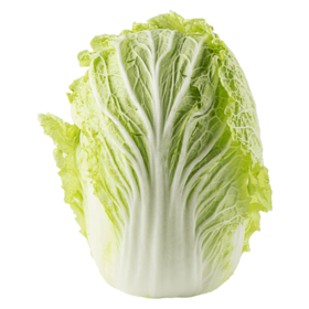 新鲜蔬菜 青曲绿道大白菜1颗（3斤左右）