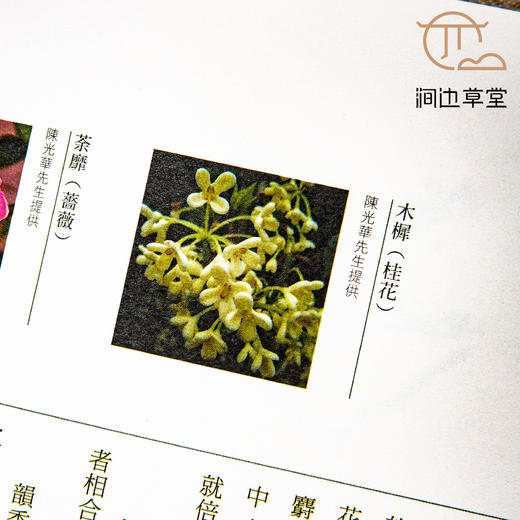 【绝版好书】《香海六帖～古今香艺文化大观》24开120页2006年台历史博物馆初版 商品图5