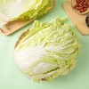 新鲜蔬菜 青曲绿道大白菜1颗（3斤左右） 商品缩略图1