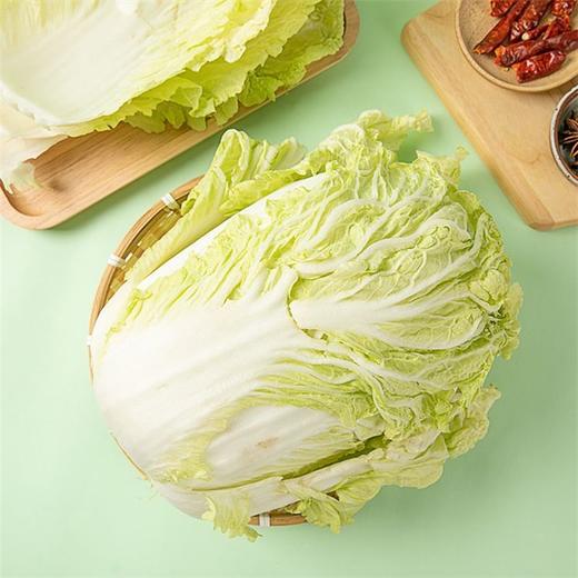 新鲜蔬菜 青曲绿道大白菜1颗（3斤左右） 商品图1