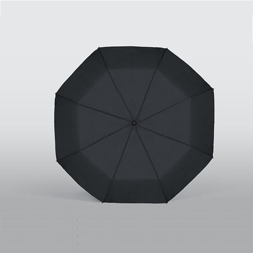 CARBON ZERO回收塑料瓶自动开合晴雨伞  57*94cm 商品图0