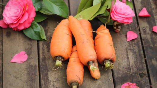 胡萝卜/老品种胡萝卜（500g）（基地胡萝卜，六零种植） 商品图4