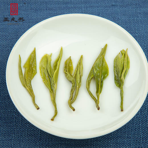 绿茶2026新茶王光熙黄山松萝绿茶浓香型炒青特级30g小罐装茶高山云雾春茶 商品图3