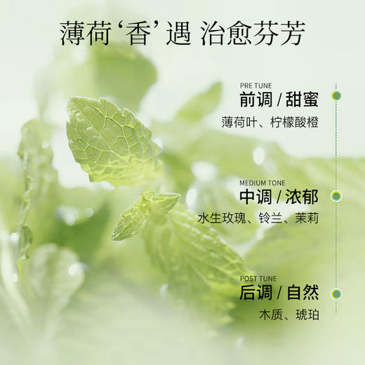 蓬派（CLAYNAL）洗发水控油止痒清爽薄荷洗头膏450ml   （1309） 商品图5