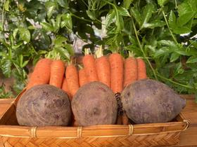 梓盟有机孩馋胡萝卜、梓盟有机甜菜根、有机瑞粉番茄