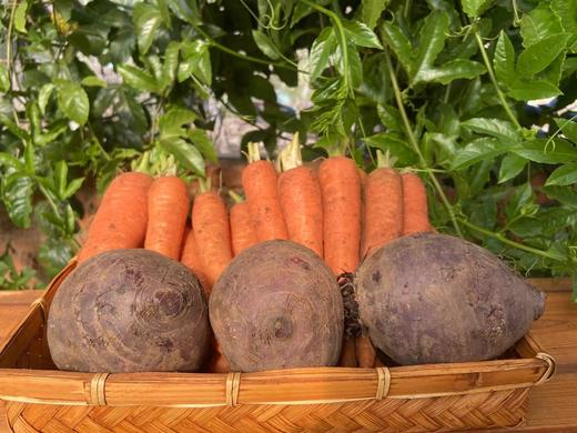 梓盟有机孩馋胡萝卜、梓盟有机甜菜根、有机瑞粉番茄 商品图0