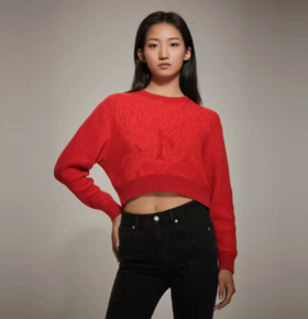 CKJ女士毛衫J222860