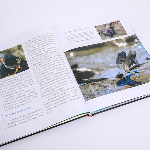 生命 非常的世界 BBC科普三部曲 入选2020年中小学生阅读指导目录 随书附赠超值解读课程 经典升级 商品图1