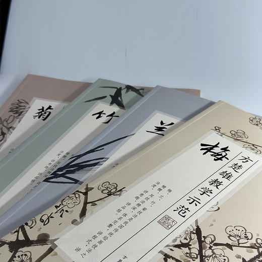 方楚雄教学示范 菊 商品图1