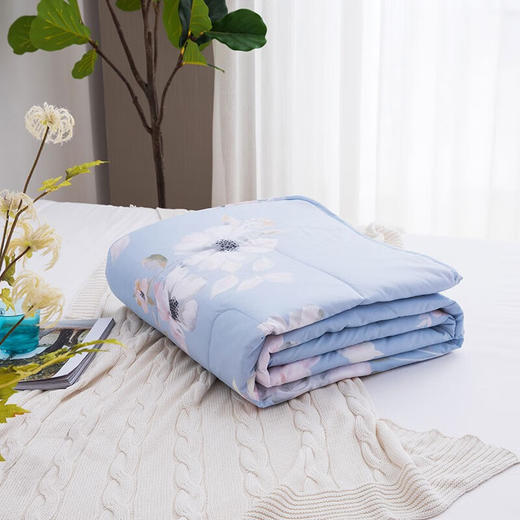 罗莱（LUOLAI）夏被空调被TG花舞忆梦花漾人生悦享绵柔薄荷假日纤维被 花语微澜夏被 150*200cm 商品图8