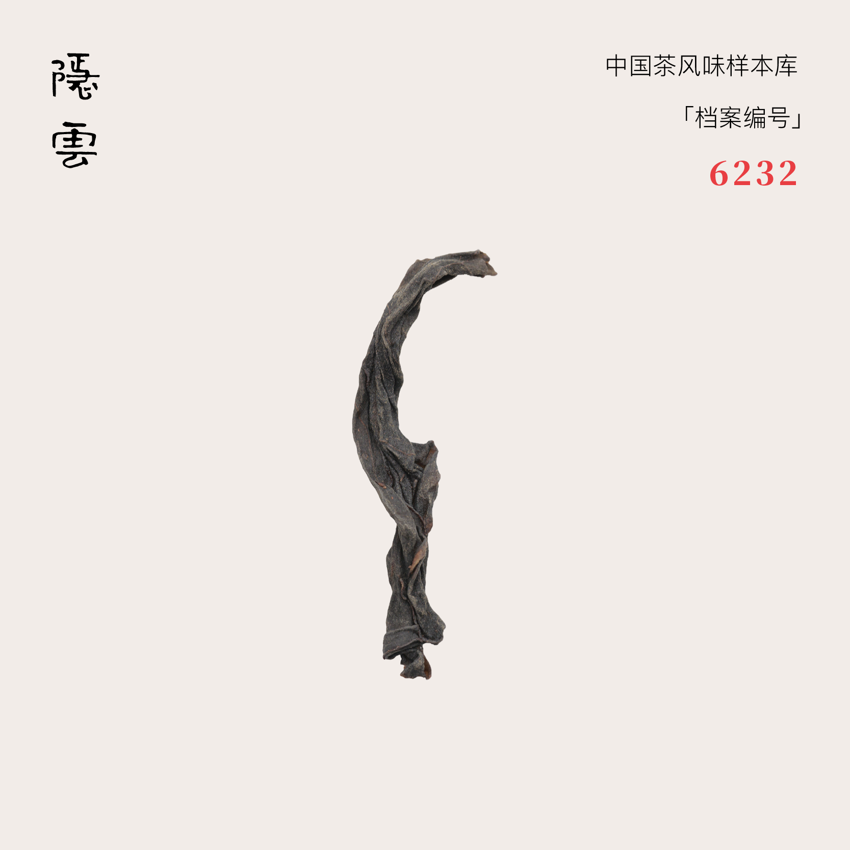 叠时｜1997年肉桂