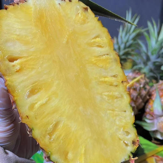 海南金钻树熟凤梨 商品图9