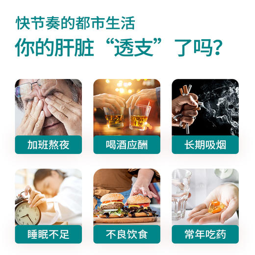 【卵酶肝泰】中科安泰多肽胶囊 蓝帽认证30粒/瓶（近效期，介意慎拍） 商品图2