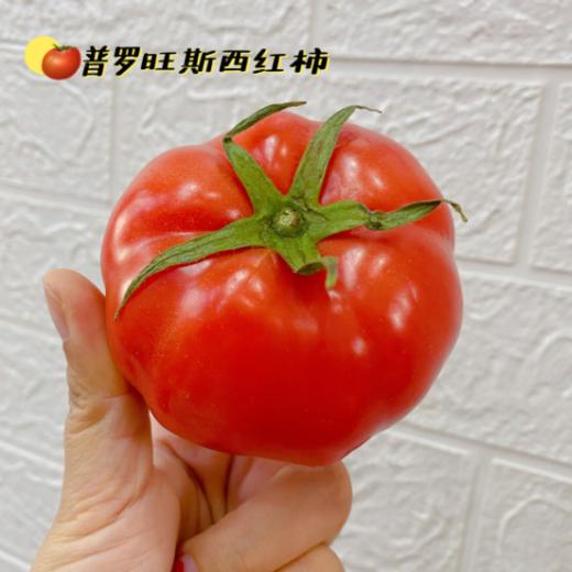 ❤️【海阳普罗旺斯西红柿】✅皮薄多汁9分甜1分酸，💦清甜口感✅富含多种维生素，🎉美白刮油减肥✅榨汁、炒菜、💕煲汤怎么做都超好吃🌸 商品图0