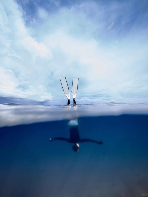 【仙本那自由潜+水下拍摄】AIDA潜水考证|一价全包|1-4星可选|专业拍摄+教练课程 商品图6