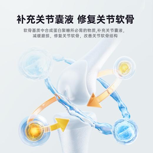 【第二件“半价”】Ramical雷米高胶原蛋白软骨素片鲨鱼软骨素狗狗关节折耳猫专用90g 商品图4