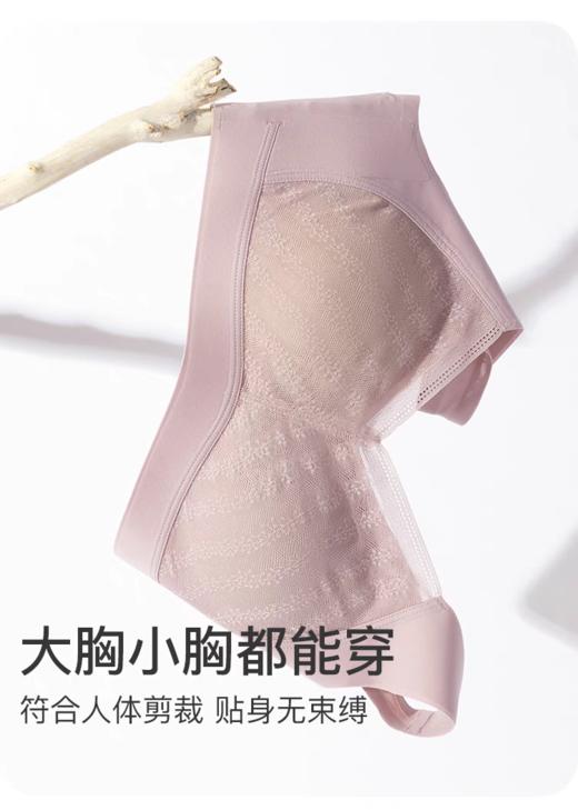 【聚拢无钢圈】舒雅无痕内衣文胸无钢圈软承托胸罩蕾丝边聚拢女士背心20/20733B 商品图5