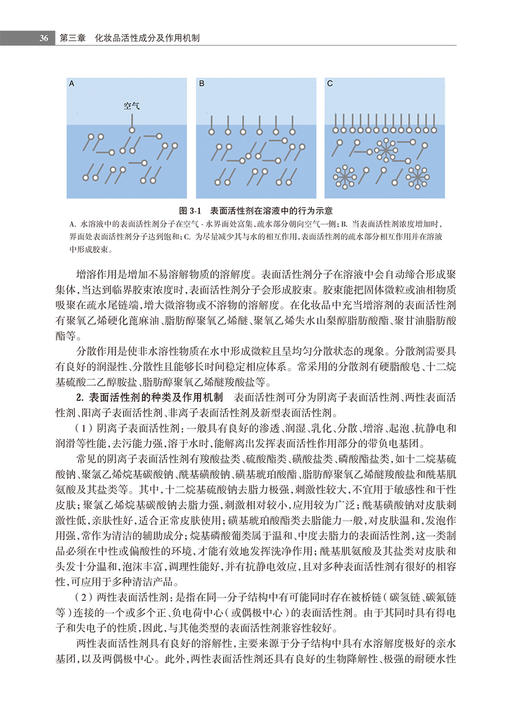 化妆品功效评价与应用 何黎等编 医学护肤品定义生产工艺功效性及其临床应用指导用书 皮肤病学生理学9787117353564人民卫生出版社 商品图3