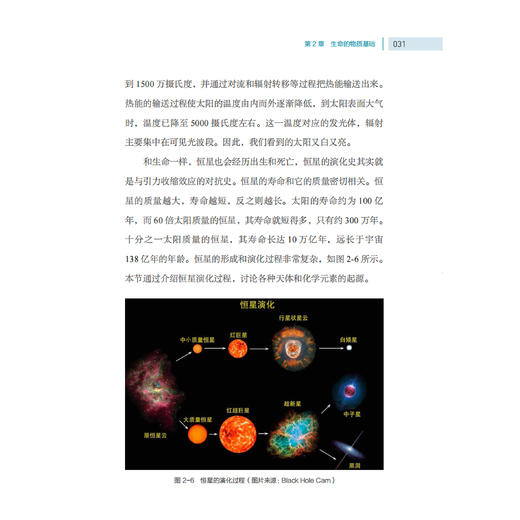 《宇宙的胎动：在深空中寻找生命起源》 商品图10