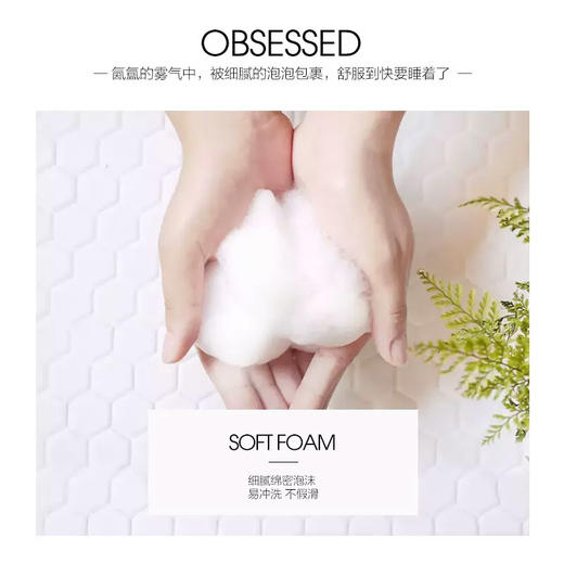 【MOR 澳魅 经典香氛保湿沐浴液 500ml 】（鼠尾草） 商品图2