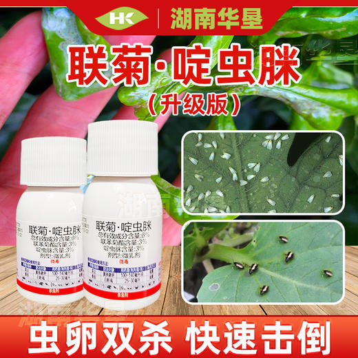 联苯菊酯啶虫脒白粉虱跳甲专杀番茄菜豆联菊啶虫脒农用杀虫剂农药 商品图1