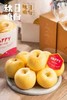 周六取货：【秋日糖份维纳斯苹果】一袋毛重2.8斤左右，甘甜芳香，细腻脆爽，脆、甜、香！ 商品缩略图5