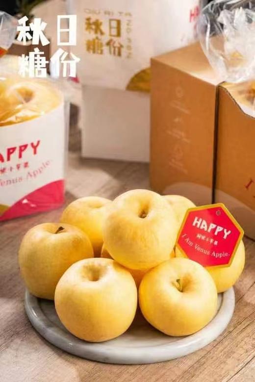 周六取货：【秋日糖份维纳斯苹果】一袋毛重2.8斤左右，甘甜芳香，细腻脆爽，脆、甜、香！ 商品图5