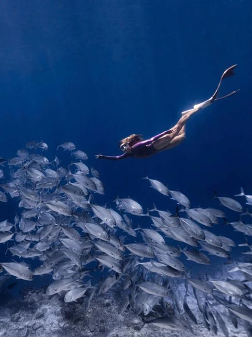 【仙本那自由潜+水下拍摄】AIDA潜水考证|一价全包|1-4星可选|专业拍摄+教练课程 商品图2