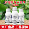 40%嘧霉胺名灰灰霉病专杀蒜薹韭菜黄瓜杀菌剂农药灰霉病专用药剂 商品缩略图3
