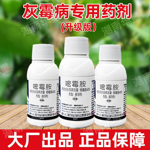 40%嘧霉胺名灰灰霉病专杀蒜薹韭菜黄瓜杀菌剂农药灰霉病专用药剂 商品图3