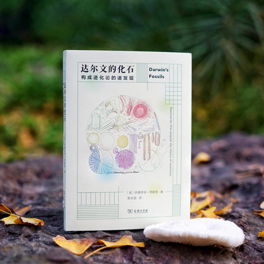 达尔文的化石——构成进化论的诸发现 商品图0