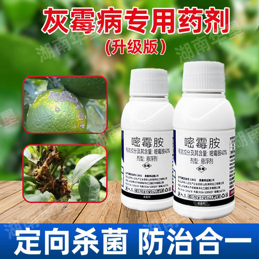 40%嘧霉胺名灰灰霉病专杀蒜薹韭菜黄瓜杀菌剂农药灰霉病专用药剂 商品图1