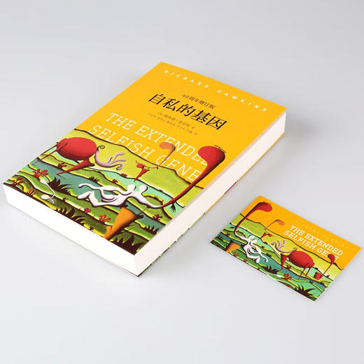 自私的基因 理查德·道金斯作品（40周年增订版） 20世纪百大经典名著之一 商品图9