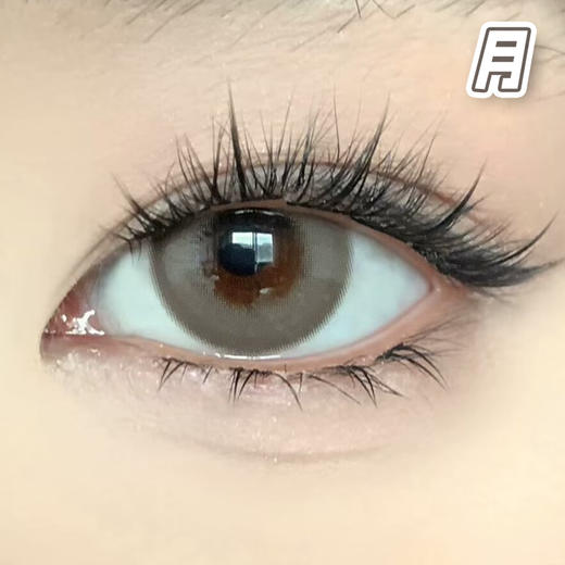 #Signal Hazel 草莓印记 浅褐色【1片装】舒适推荐 / 进口月抛** 商品图2