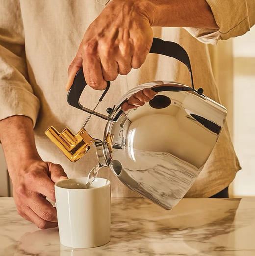 ALESSI/9091双音琴烧水壶FM大容量厨房家用不锈钢个性创意送礼 商品图0