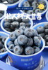 枝冠超能杯蓝莓 商品缩略图1