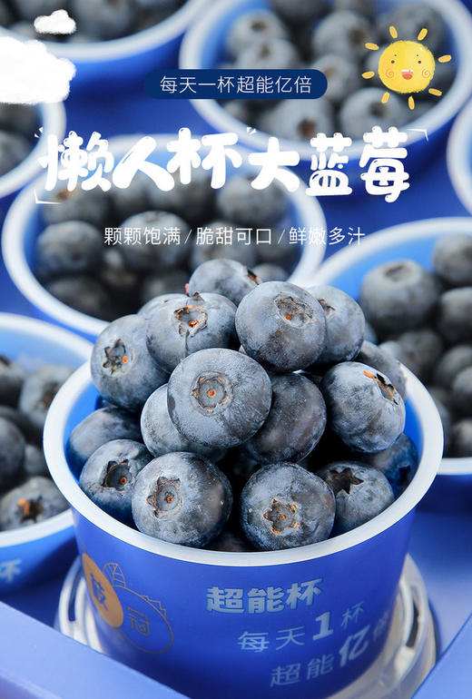 枝冠超能杯蓝莓 商品图1