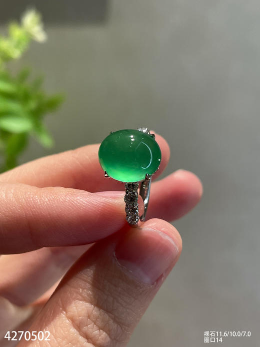 玻璃种艳绿蛋面戒指【4270502】具体价格微信咨询 商品图6