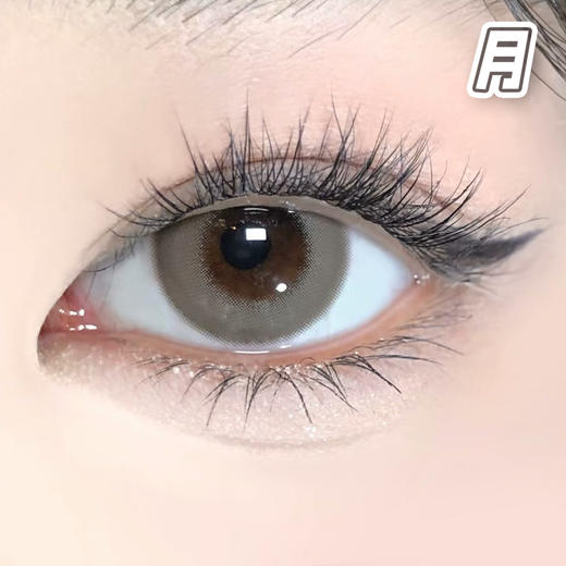 #Signal Hazel 草莓印记 浅褐色【1片装】舒适推荐 / 进口月抛** 商品图1