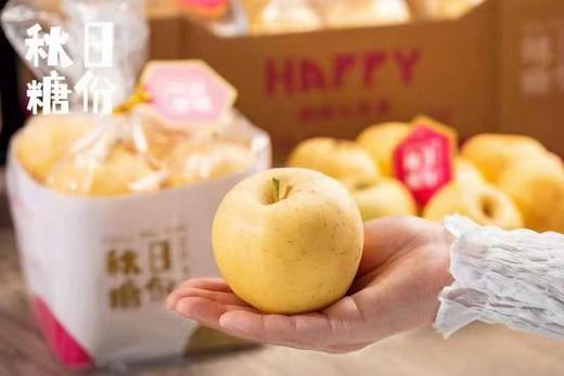 周六取货：【秋日糖份维纳斯苹果】一袋毛重2.8斤左右，甘甜芳香，细腻脆爽，脆、甜、香！ 商品图2