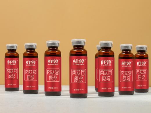 鲜蓉肉苁蓉原浆300ml（30ml*10瓶） 商品图4