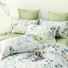 多喜爱 全棉新疆棉清新花卉四件套 绿嘢/柠熙/春日狂想曲hlcs 商品缩略图4