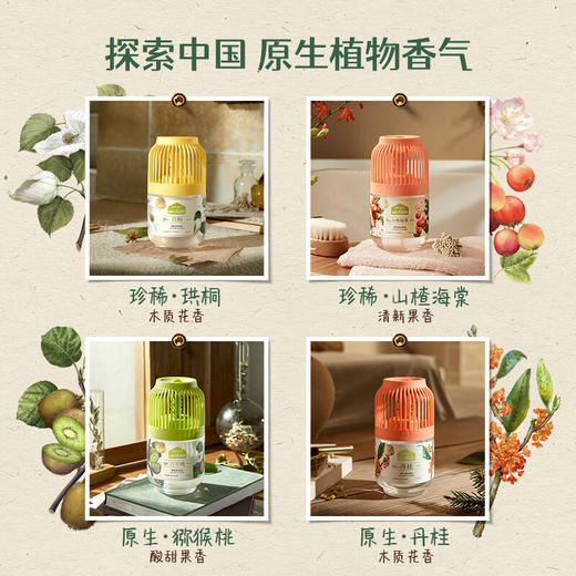 air funk  香薰  净味清新香氛350ml 商品图1