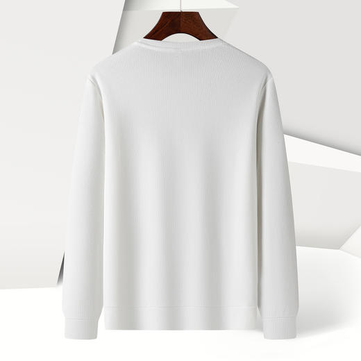 14LP3755214LP37552【竖坑条纹 多色任选】罗蒙春秋男士绣花胸标卫衣男时尚休闲百搭卫衣圆领长袖T恤上衣男 商品图4