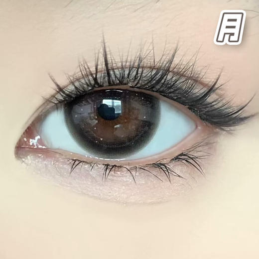 #Sugar Choco 糖衣炮弹 棕巧【1片装】舒适推荐 / 进口月抛** 商品图0