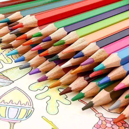 晨光油性彩色铅笔 1盒 可擦儿童彩铅绘画成人学生用彩笔填色笔12色24色36色 商品图3