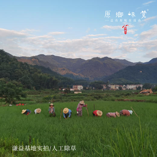 生态麦芽糖（成都仓库-顺丰快递 ）| 500g/瓶，来自湖北黄冈，生产者：李明攀【合作生产，公平贸易】 商品图6