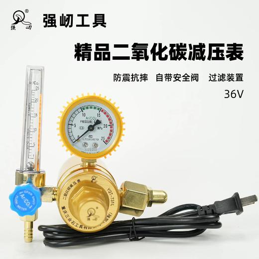 强屻36V二氧化碳表 商品图1