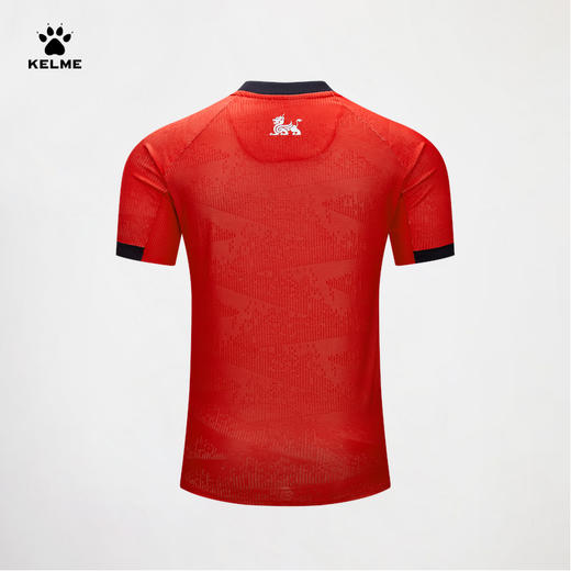 卡尔美2024赛季中甲苏州东吴主场比赛服-单上衣【空版只有队徽，印制可以联系客服】 商品图1