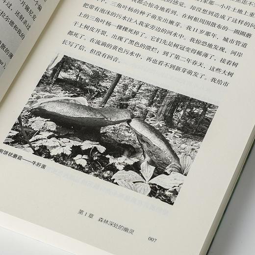 森林之歌 森林的女儿、先锋科学家 苏珊娜·西马德 著  讲述女性励志成长 商品图6